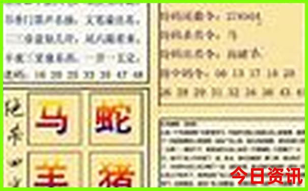 2024贺岁片排行榜前十名
